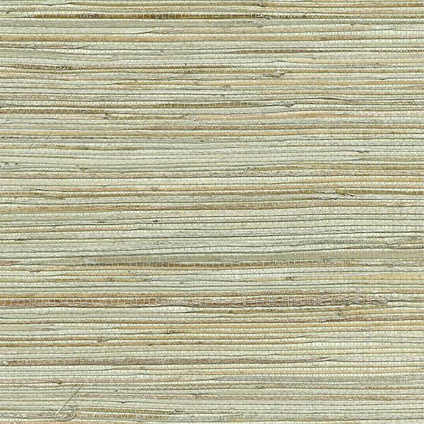 media image for Shandong Ramie Grasscloth Wallpaper in Sea Green by Brewster Home Fashions 260