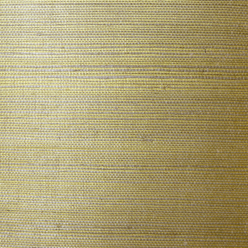 media image for Sisal Grasscloth Wallpaper in Metallic Gold and Aloe from the Luxe Retreat Collection by Seabrook Wallcoverings 25