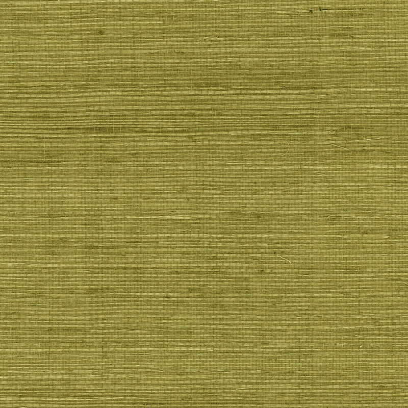 media image for Sisal Grasscloth Wallpaper in Olive from the Luxe Retreat Collection by Seabrook Wallcoverings 253