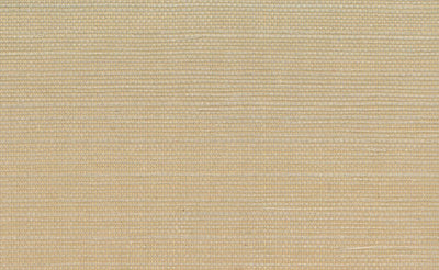 product image of sample sisal grasscloth wallpaper in light brown design by seabrook wallcoverings 1 572