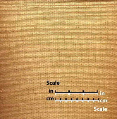product image for Sisal Wallpaper in Copper and Gold from the Winds of the Asian Pacific Collection by Burke Decor 49