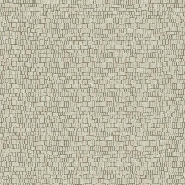 media image for Skin Wallpaper in Beige from the Natural Opalescence Collection by Antonina Vella for York Wallcoverings 232