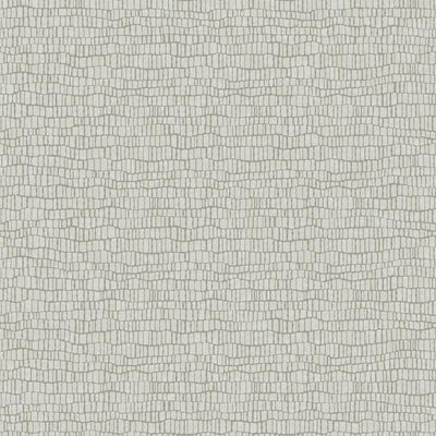 product image of sample skin wallpaper in light grey from the natural opalescence collection by antonina vella for york wallcoverings 1 571