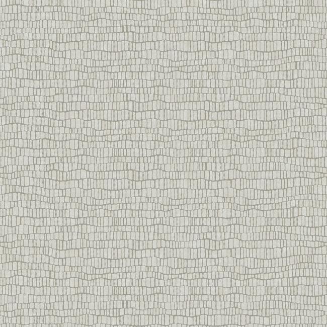 media image for Skin Wallpaper in Light Grey from the Natural Opalescence Collection by Antonina Vella f 282