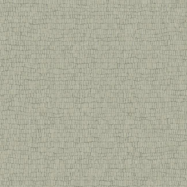 media image for Skin Wallpaper in Mink from the Natural Opalescence Collection by Antonina Vella for York Wallcoverings 230