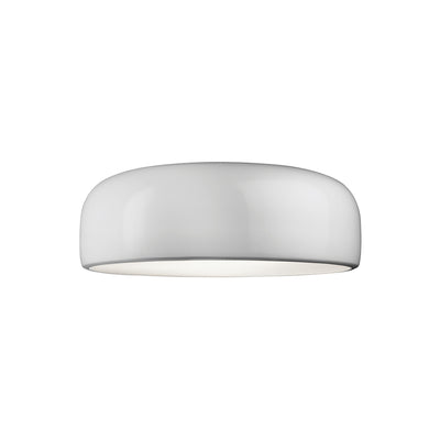 product image for Smithfield Aluminum Wall & Ceiling Lighting in Various Colors 4