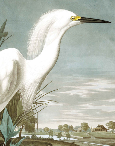 product image of Snowy Heron 009 Wallpaper Panel by KEK Amsterdam 567