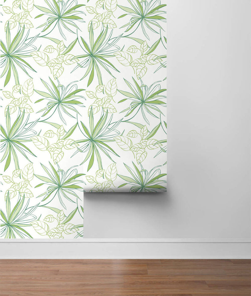 media image for Spider Plants Peel-and-Stick Wallpaper in Green by NextWall 289