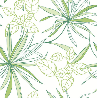product image for Spider Plants Peel-and-Stick Wallpaper in Green by NextWall 74