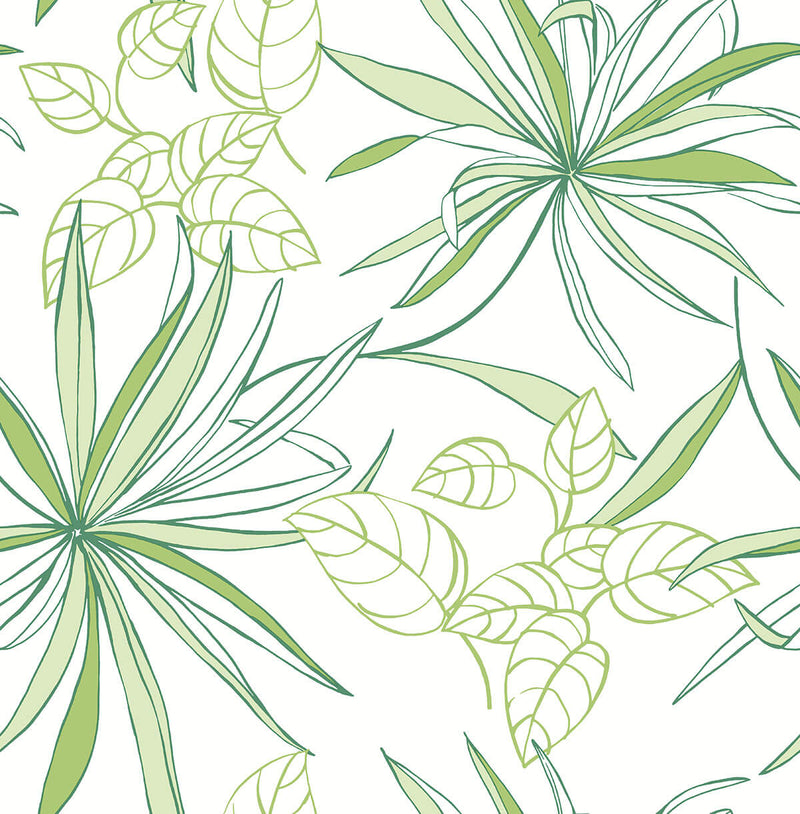 media image for Spider Plants Peel-and-Stick Wallpaper in Green by NextWall 295
