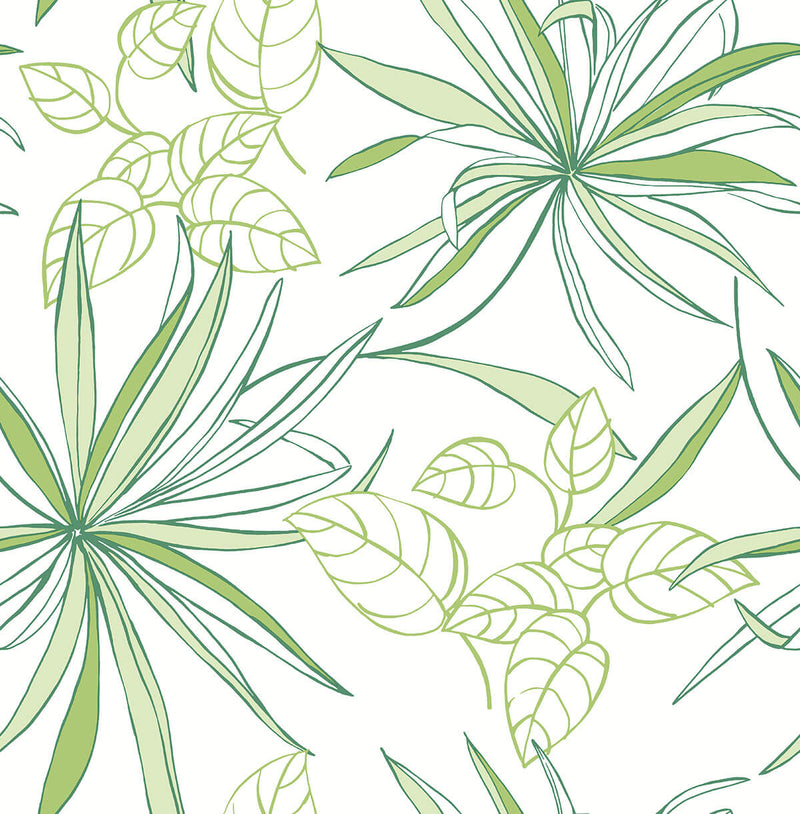 media image for sample spider plants peel and stick wallpaper in green by nextwall 1 273
