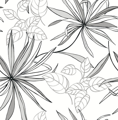 product image of sample spider plants peel and stick wallpaper in grey scale by nextwall 1 586