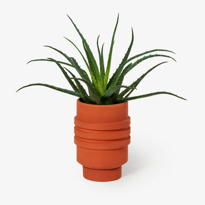 product image for strata plant vessel by areaware sb2pbe 5 3