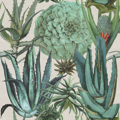 product image for Succulents Wallpaper in Taupe and Green from the Rediscovered Paradise Collection by Mind the Gap 20