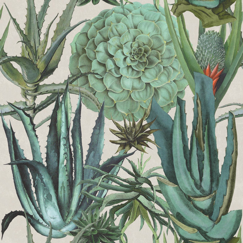 media image for Succulents Wallpaper in Taupe and Green from the Rediscovered Paradise Collection by Mind the Gap 228