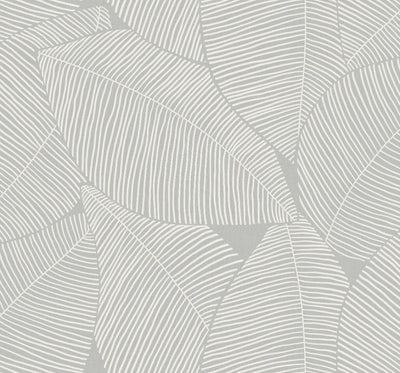 product image of Summer Magnolia Wallpaper in Daydream Grey from the Beach House Collection by Seabrook Wallcoverings 579