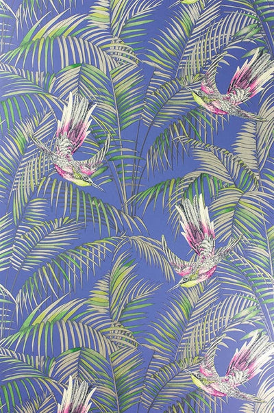 product image of Sunbird Wallpaper in Electric Blue and Fuchsia by Matthew Williamson for Osborne & Little 548
