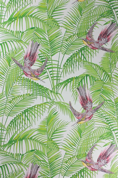 product image of Sunbird Wallpaper in Ruby and Kiwi by Matthew Williamson for Osborne & Little 555