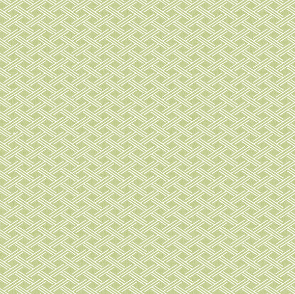 media image for Sweetgrass Green Trellis Wallpaper from the Seaside Living Collection by Brewster Home Fashions 274