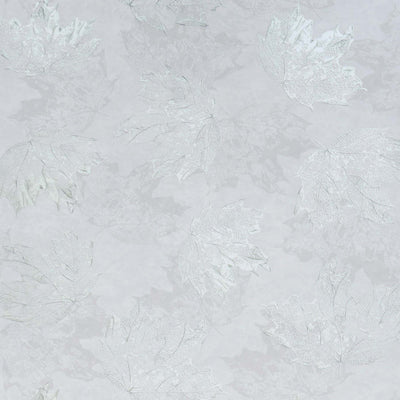 Shop Sample Sycamore Wallpaper in Grey and Silver from the Folium