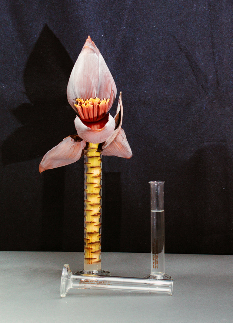 media image for single flower vase 10 221