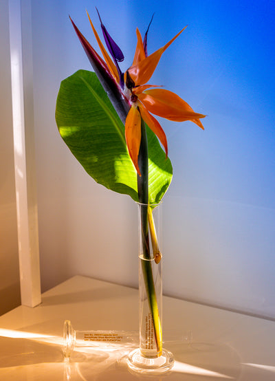 product image for single flower vase 13 8