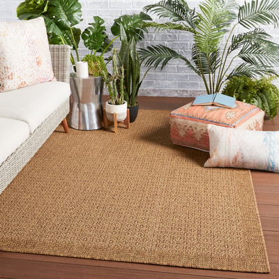 product image for Maeva Indoor/Outdoor Border Light Brown Rug by Jaipur Living 65