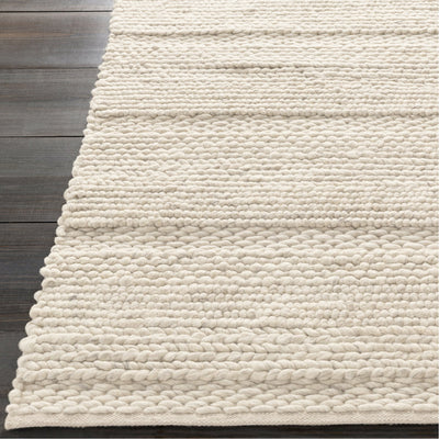 product image for Tahoe TAH-3703 Hand Woven Rug in Ivory & Charcoal by Surya 22