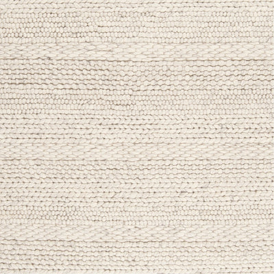 product image for Tahoe TAH-3703 Hand Woven Rug in Ivory & Charcoal by Surya 94