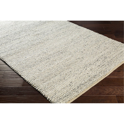 product image for Tahoe TAH-3709 Hand Woven Rug in Cream & Light Gray by Surya 18