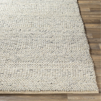 product image for Tahoe TAH-3709 Hand Woven Rug in Cream & Light Gray by Surya 65