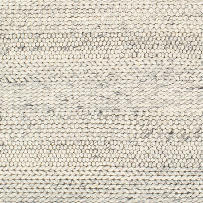 product image for Tahoe TAH-3709 Hand Woven Rug in Cream & Light Gray by Surya 92
