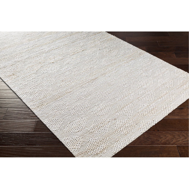 media image for Trace TCE-2304 Hand Woven Rug in Ivory & Cream by Surya 238