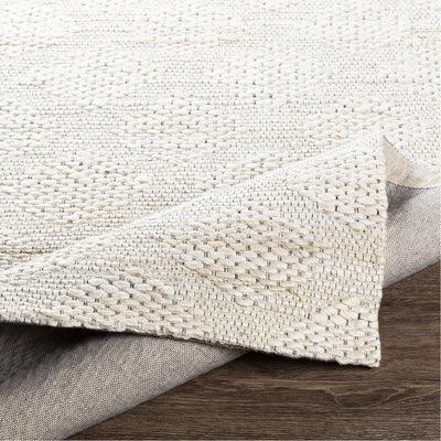product image for Trace TCE-2304 Hand Woven Rug in Ivory & Cream by Surya 45