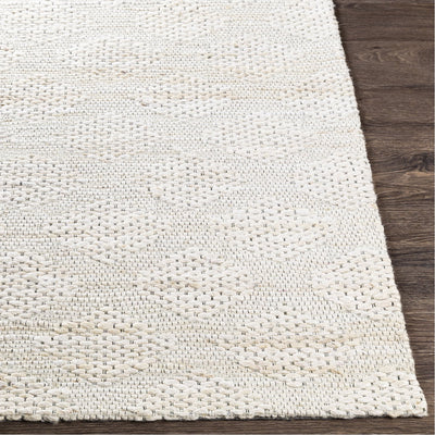 product image for Trace TCE-2304 Hand Woven Rug in Ivory & Cream by Surya 11