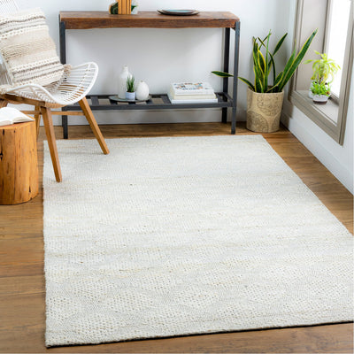 product image for Trace TCE-2304 Hand Woven Rug in Ivory & Cream by Surya 50