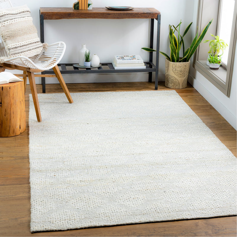 media image for Trace TCE-2304 Hand Woven Rug in Ivory & Cream by Surya 261