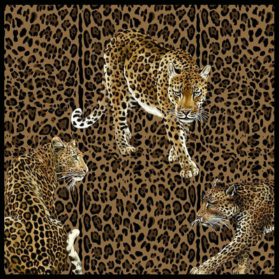 product image of Sample Leopardo Wall Mural in Elena 512