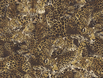 product image of Sample Leopardo Incognito Wallpaper in Alessia 592