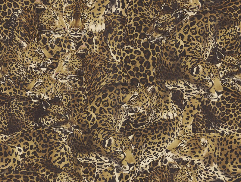 media image for Leopardo Incognito Wallpaper in Alessia 258