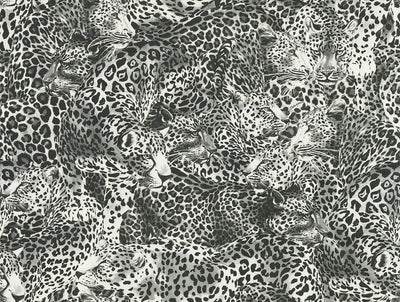product image of Leopardo Incognito Wallpaper in Alessandra 587