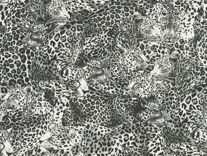 media image for Leopardo Incognito Wallpaper in Alessandra 21