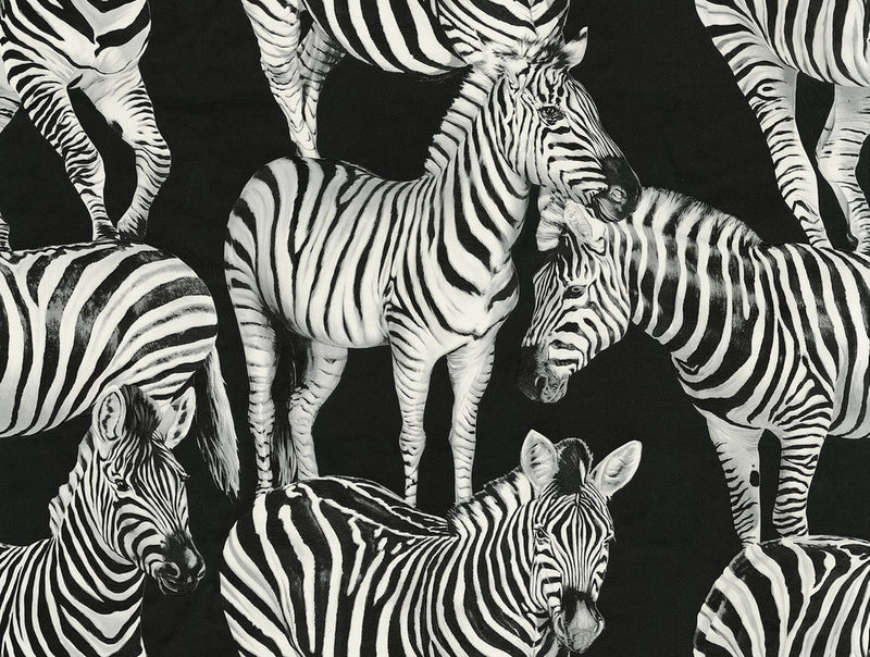 media image for Sample Zebra Romance Wallpaper in Contrasto 285