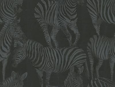 product image of Sample Zebra Romance Wallpaper in Misterioso 524