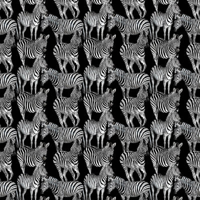 product image of Sample Multi Zebra Wall Mural in Tullio 572