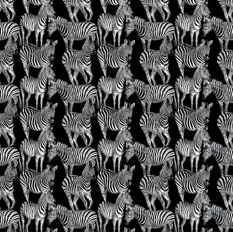 media image for Sample Multi Zebra Wall Mural in Tullio 254