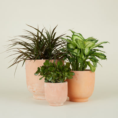 product image for Terracotta Footed Planters in Various Sizes by Hawkins New York 6