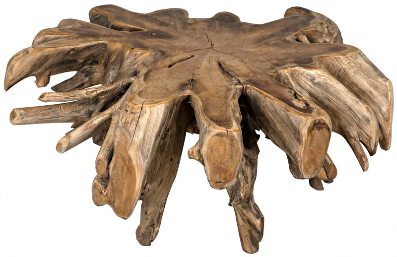 media image for teak root coffee table by noir 2 214
