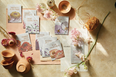 product image for the floral society individual seeds 15 53