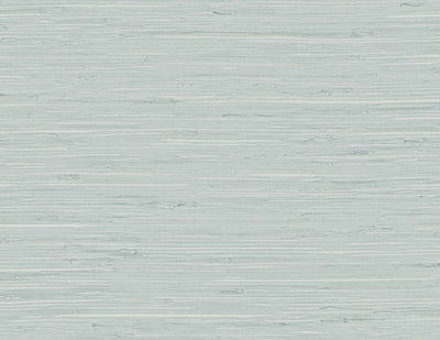 product image for Marion Faux Arrowroot Vinyl Wallpaper in Pale Sky 60